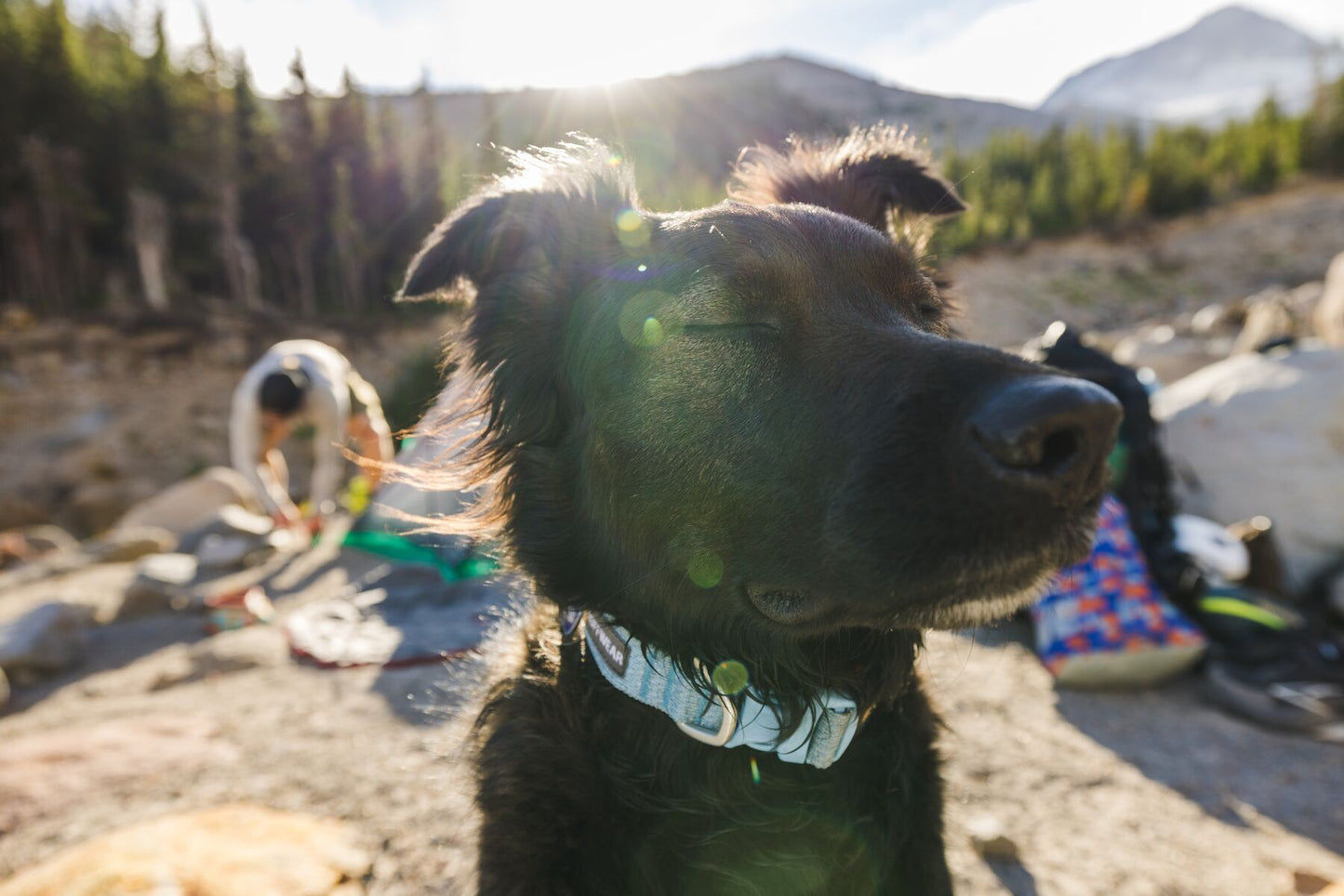 Ruffwear - Front Range Flex Collar
