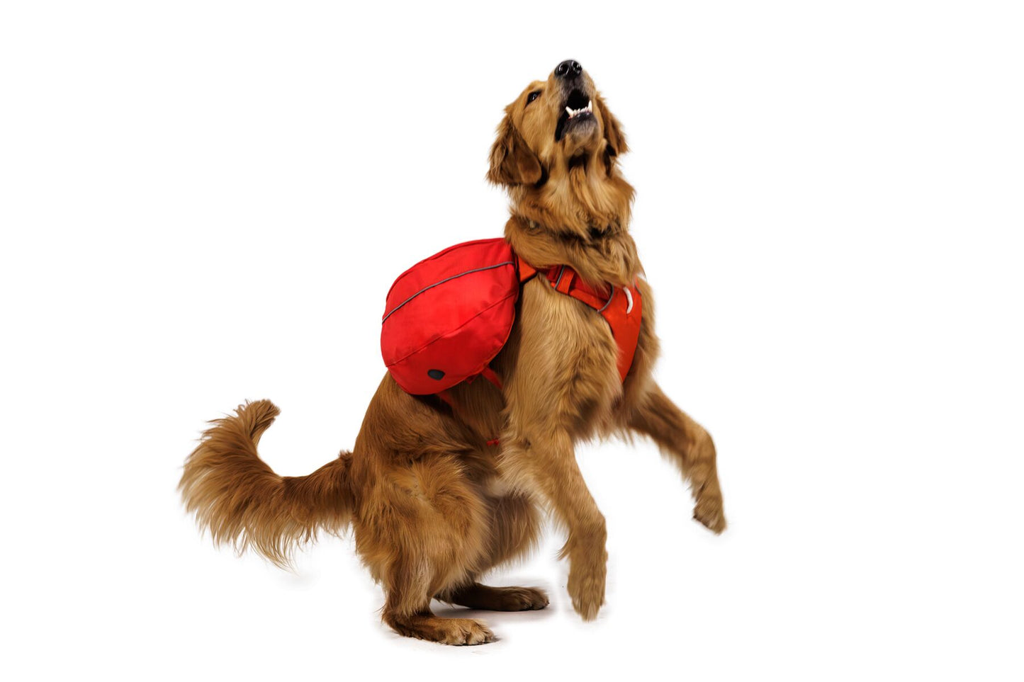 Ruffwear - Palisades Pack