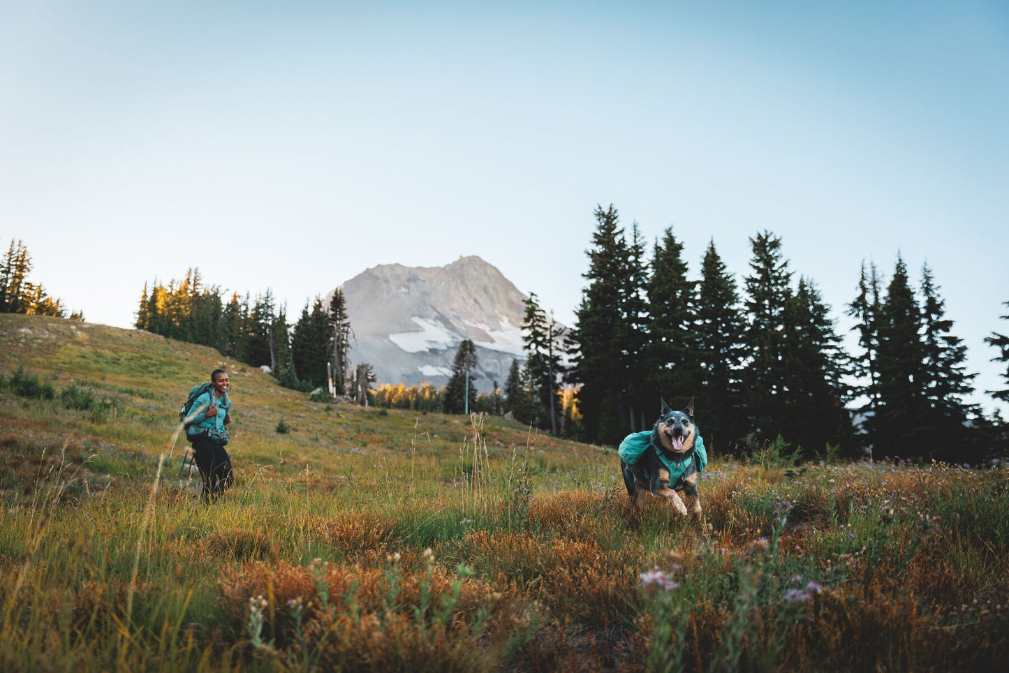 Ruffwear - Front Range Day Pack