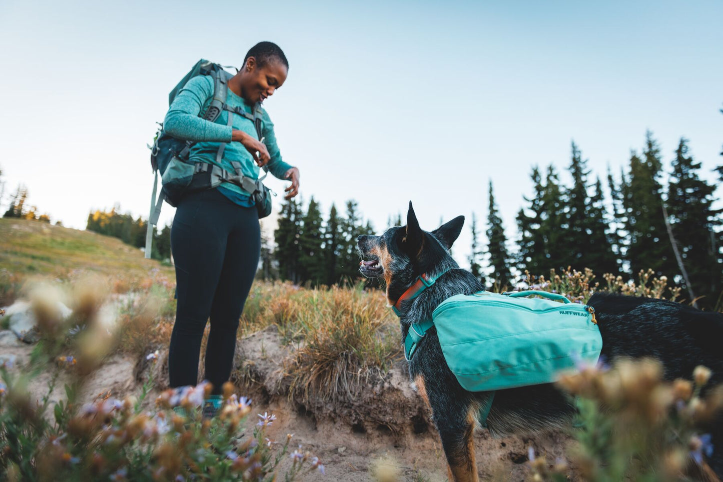 Ruffwear - Front Range Day Pack