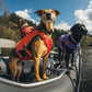 Ruffwear - Confluence Life Jacket