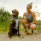Ruffwear - Front Range Flex Harness