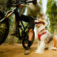 Ruffwear - Front Range Flex Harness
