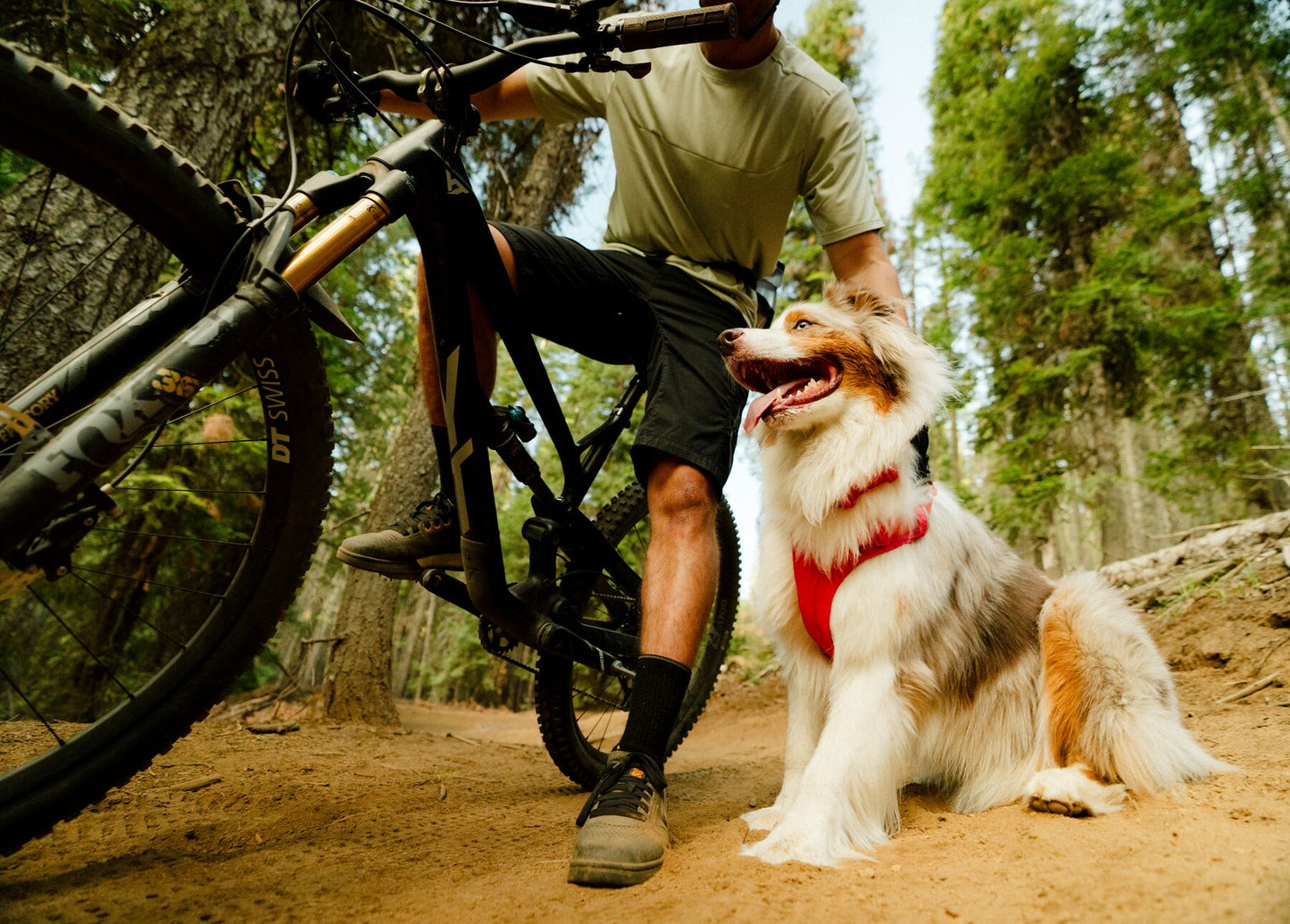 Ruffwear - Front Range Flex Harness