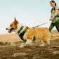 Ruffwear - Front Range Flex Collar