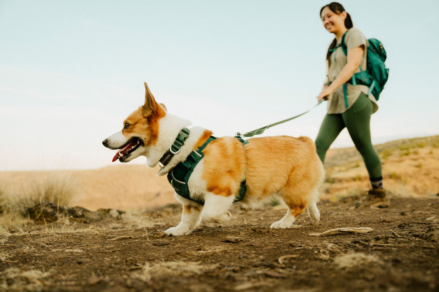 Ruffwear - Front Range Flex Collar