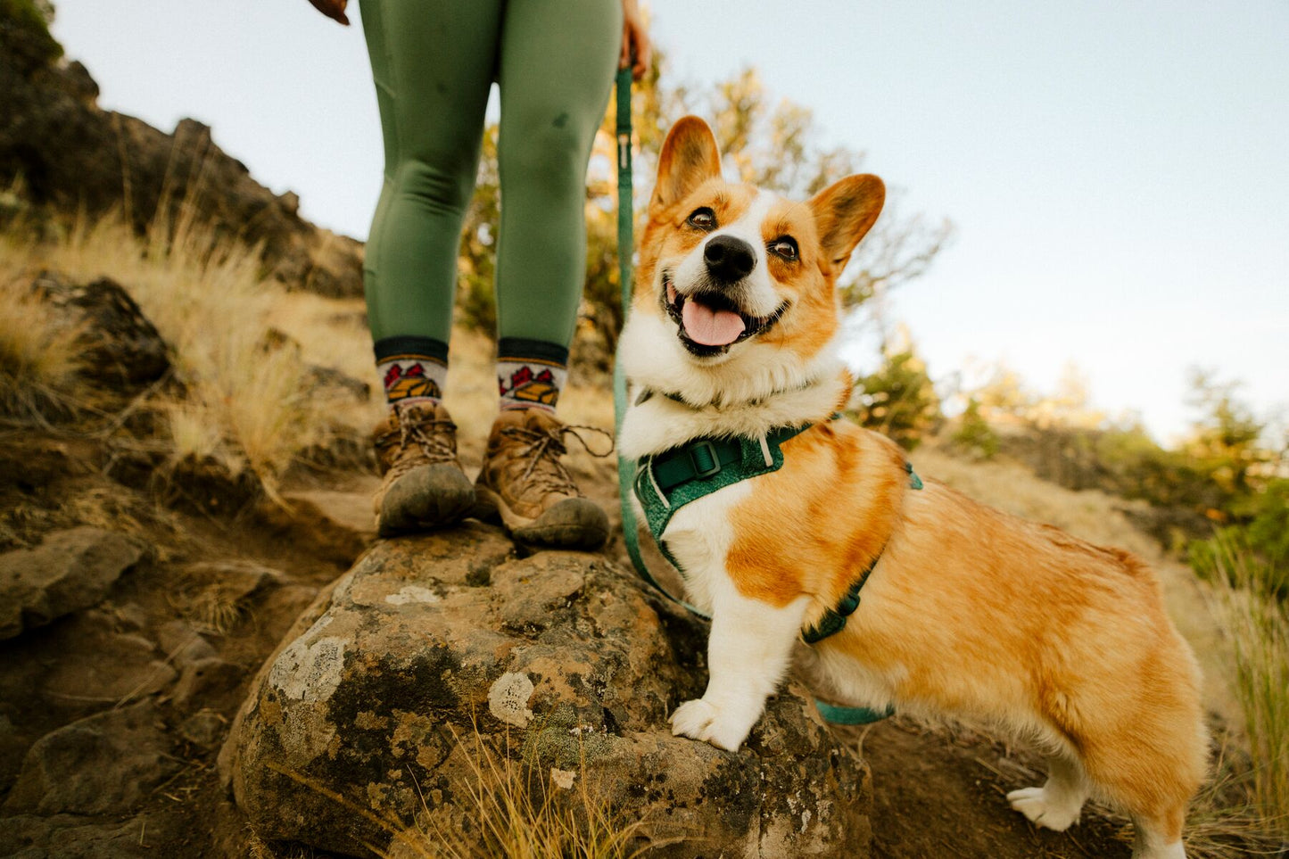Ruffwear - Front Range Flex Leash