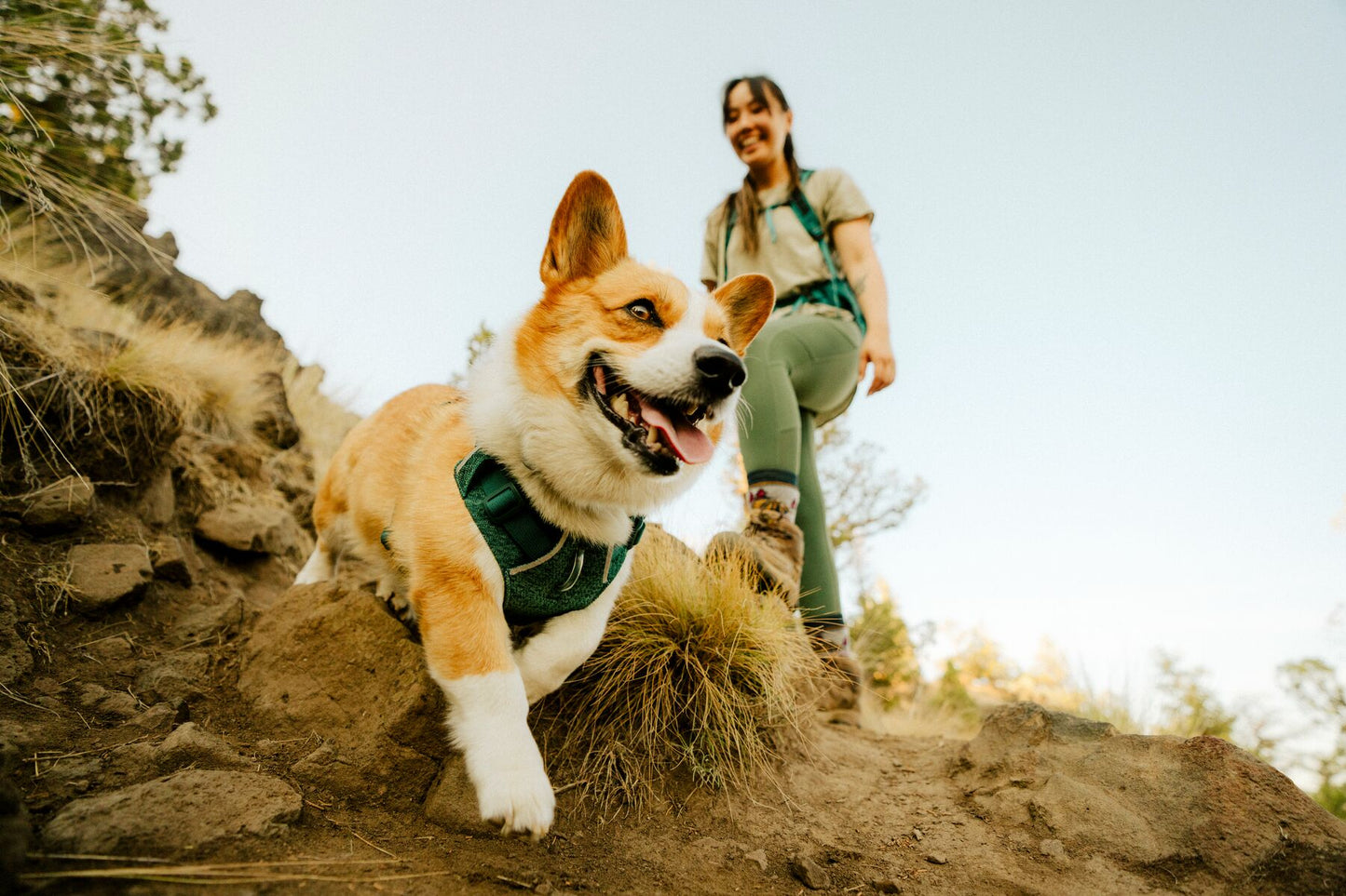 Ruffwear - Front Range Flex Harness