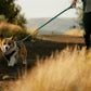 Ruffwear - Front Range Flex Leash