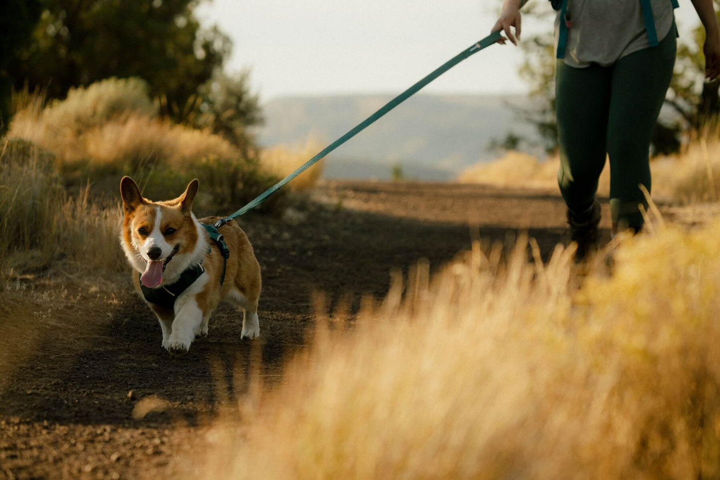 Ruffwear - Front Range Flex Leash