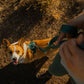 Ruffwear - Front Range Flex Harness