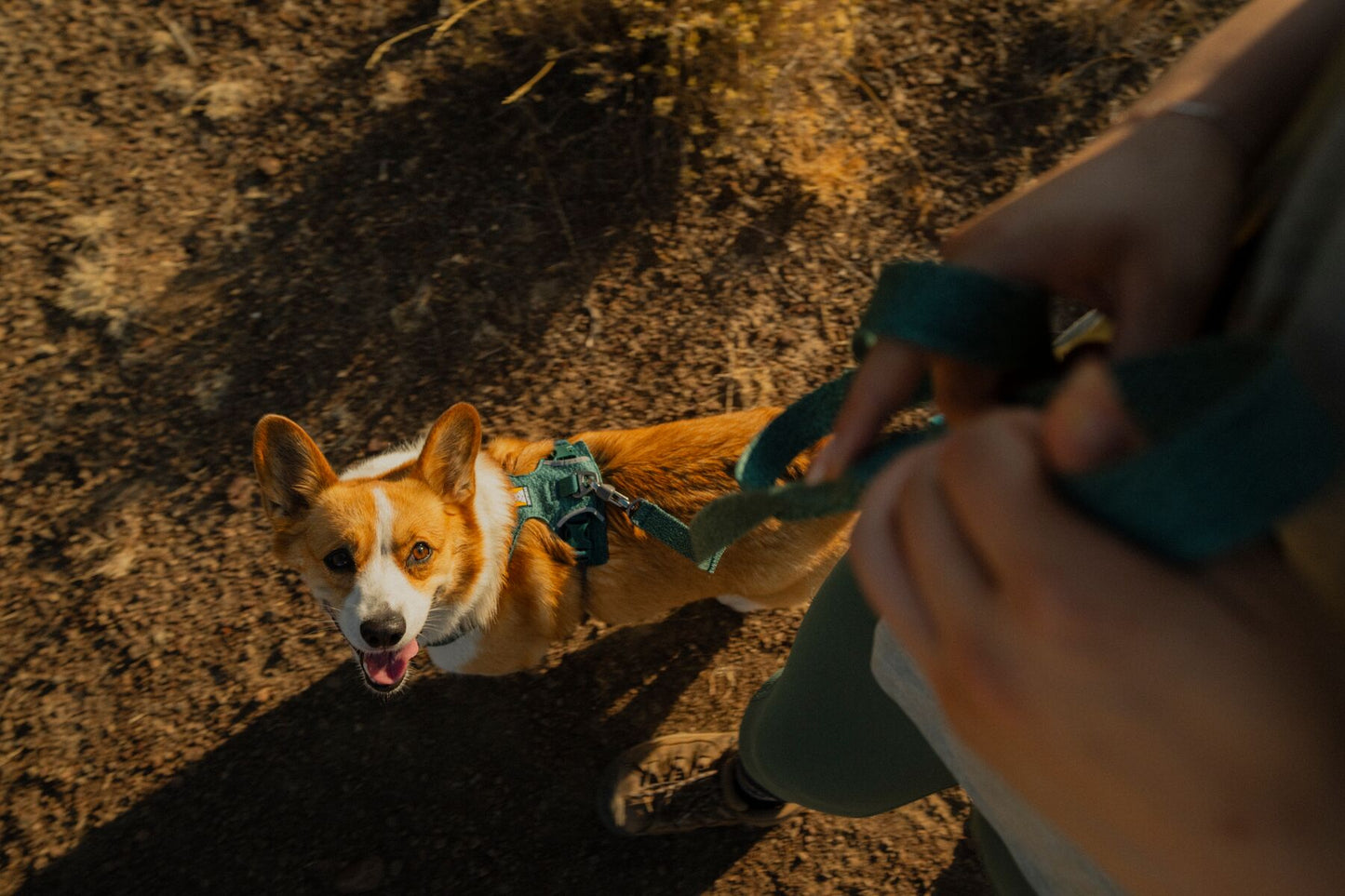 Ruffwear - Front Range Flex Harness