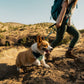 Ruffwear - Front Range Flex Harness
