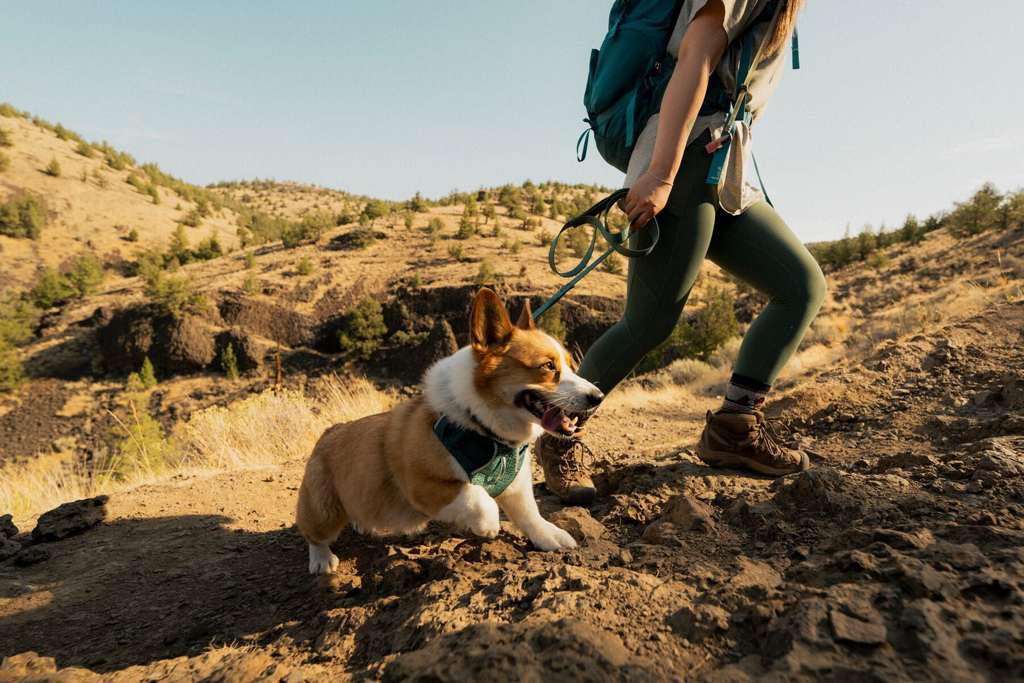 Ruffwear - Front Range Flex Harness