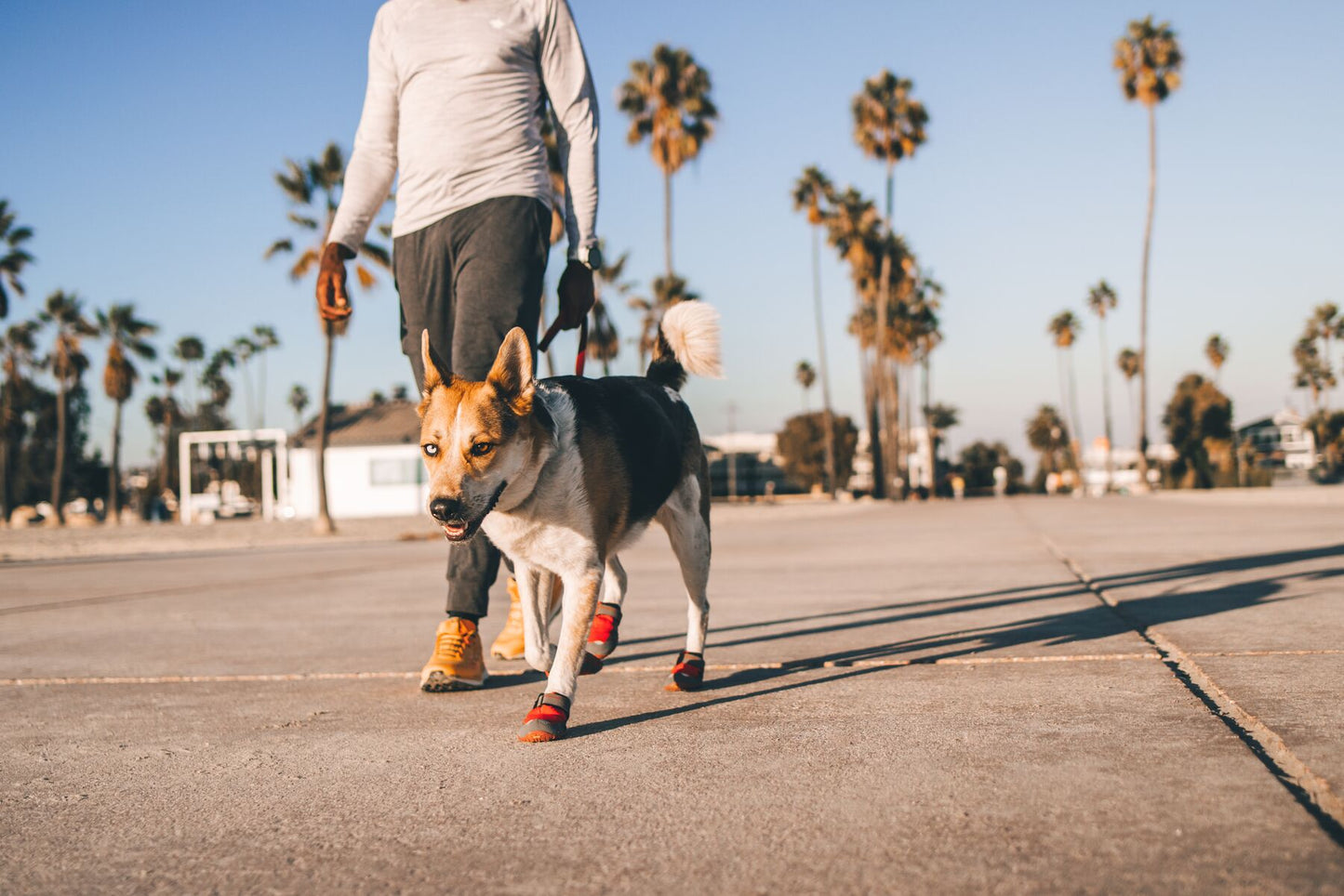 Ruffwear - Grip Trex Dog Boots (Pair)