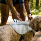 Ruffwear - Swamp Cooler Vest