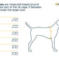 Ruffwear - Front Range Flex Harness