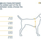 Ruffwear - Ridgeline Harness