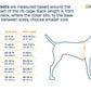 Ruffwear - Float Coat Life Jacket