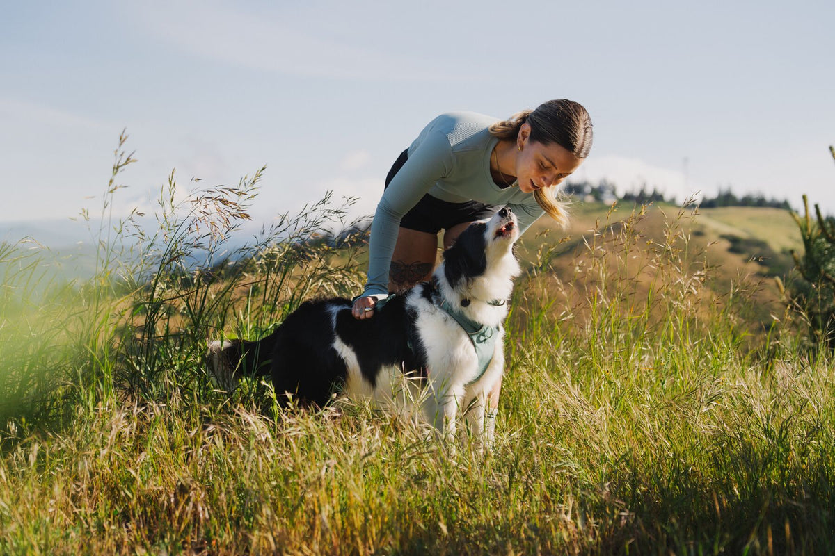 Ruffwear - Front Range Harness