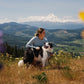 Ruffwear - Front Range Harness