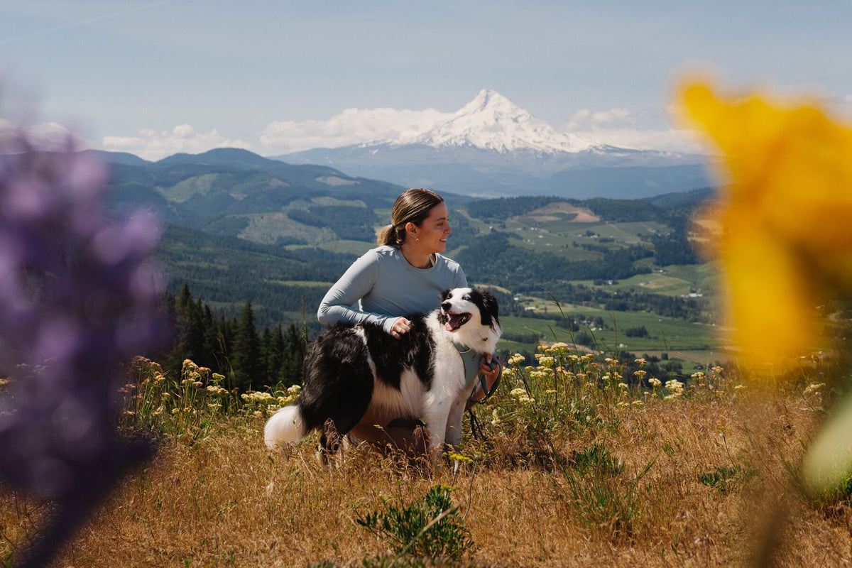 Ruffwear - Front Range Harness