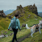Ruffwear - Ridgeline Harness
