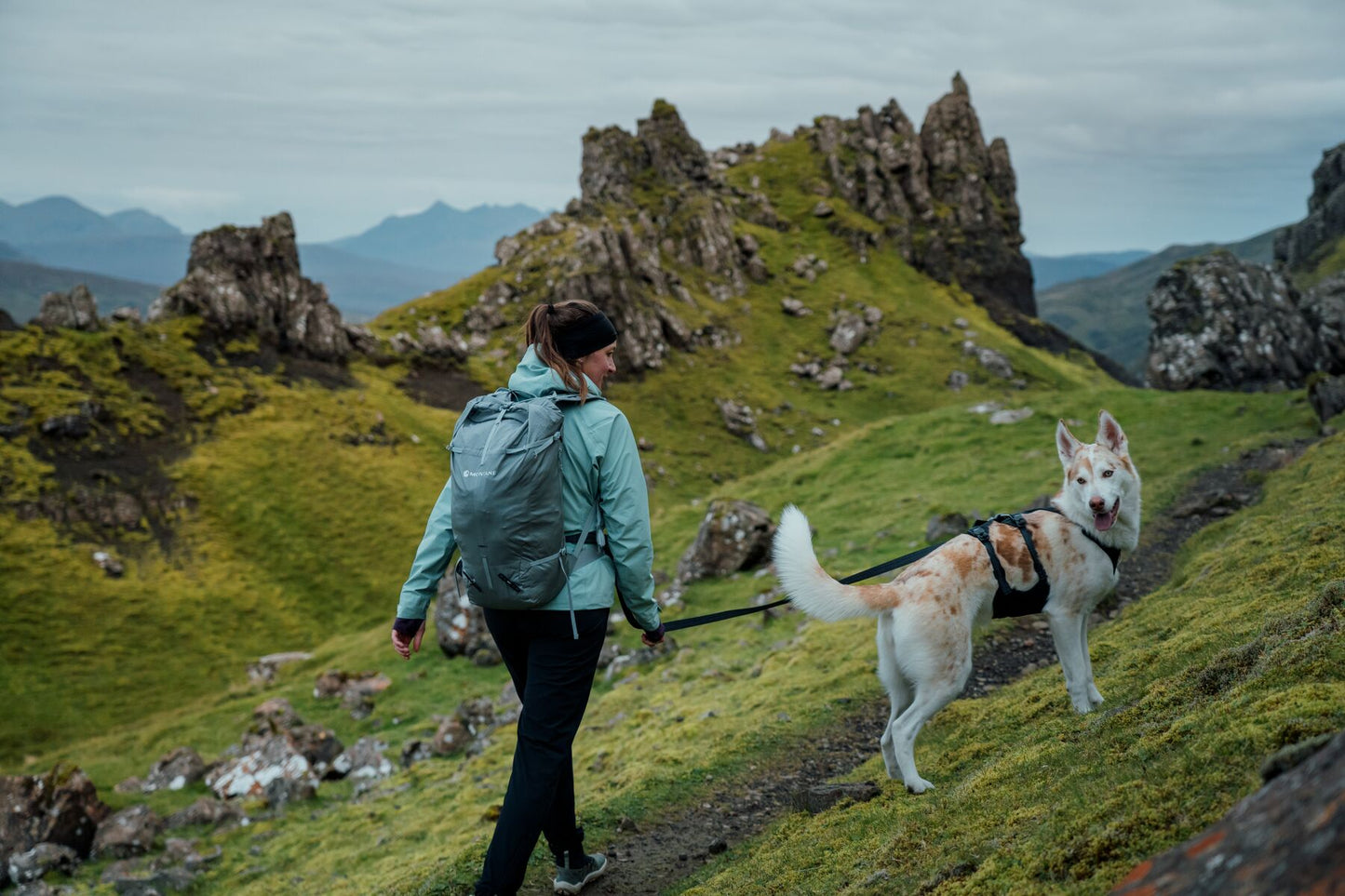 Ruffwear - Ridgeline Harness