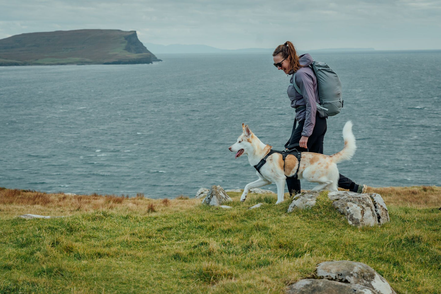 Ruffwear - Ridgeline Harness