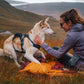Ruffwear - Ridgeline Harness