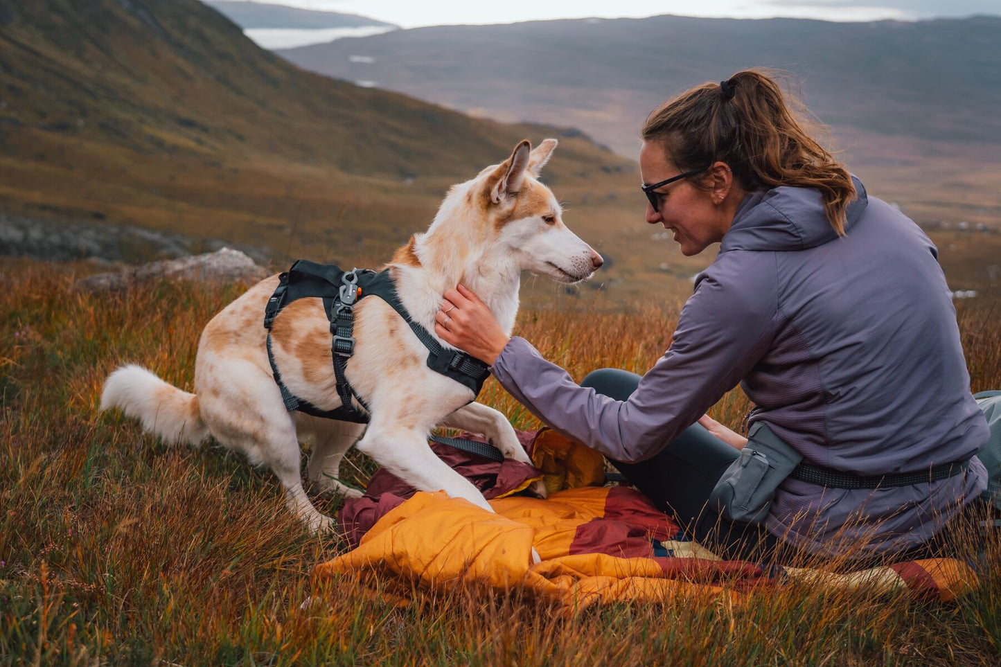 Ruffwear - Ridgeline Harness