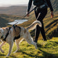 Ruffwear - Ridgeline Leash