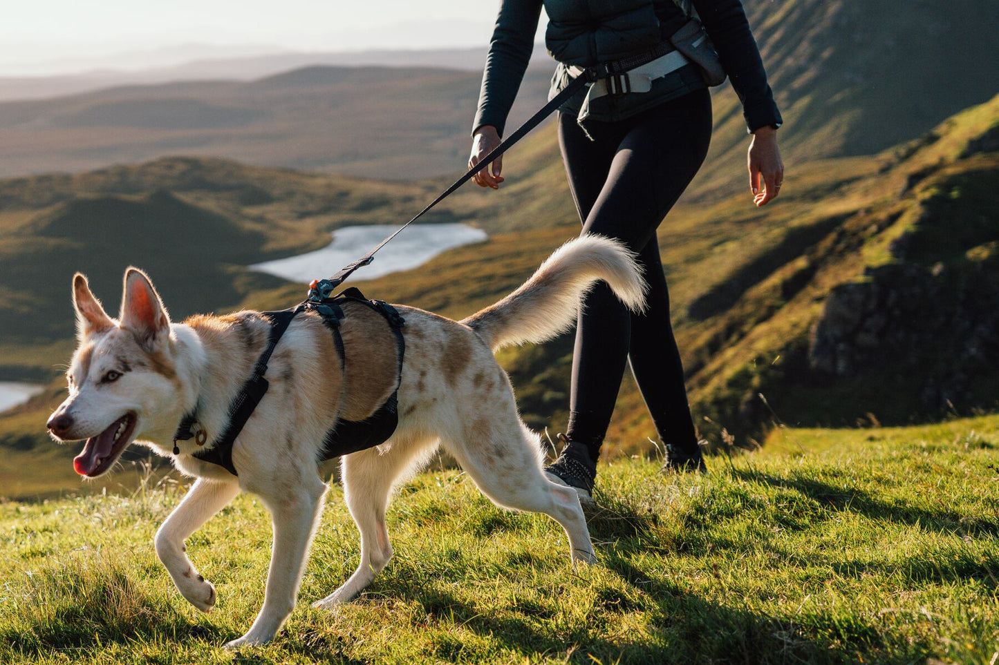 Ruffwear - Ridgeline Leash