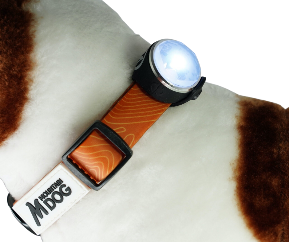 MDOG  - Aurora Rechargeable Glow Light *FINAL STOCK PRICE DROP - NEARLY GONE*