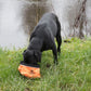 MDOG - Collapsible Large Travel Bowl *WINTER SALE*