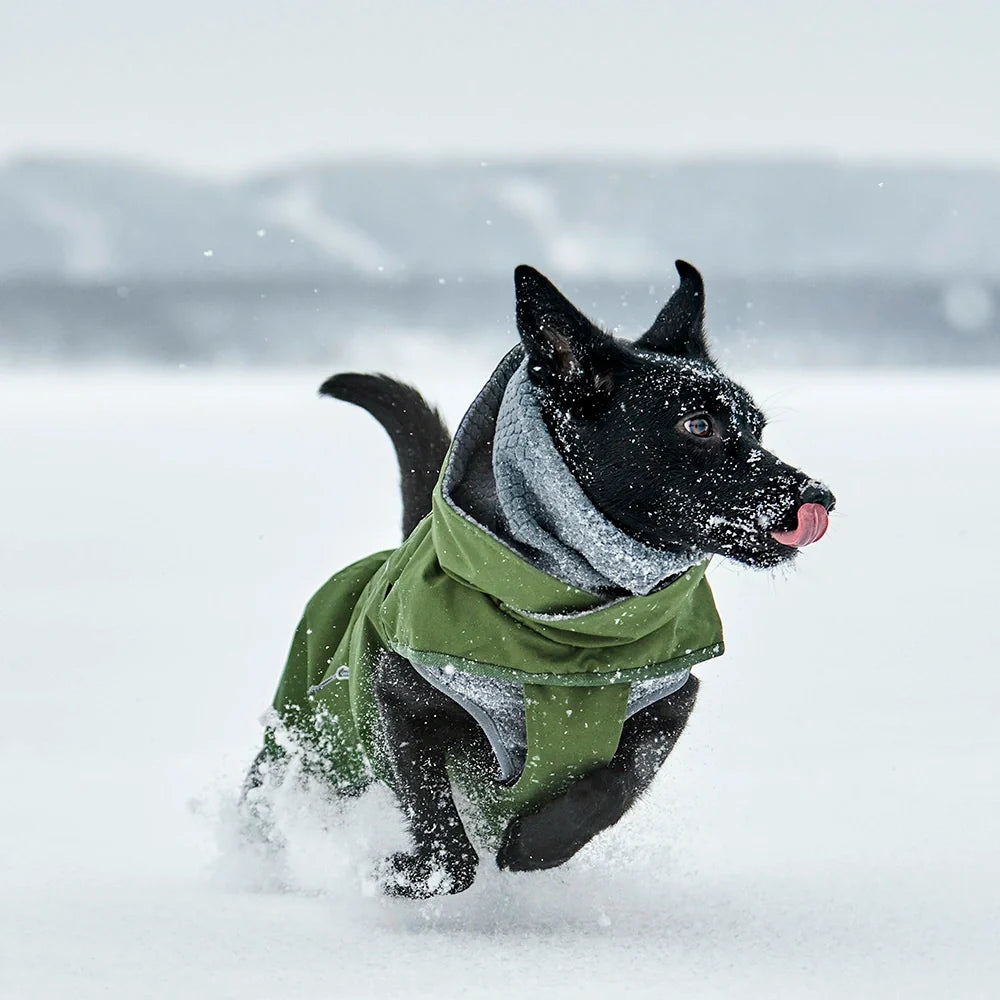 Hurtta - Walk All-Season Jacket