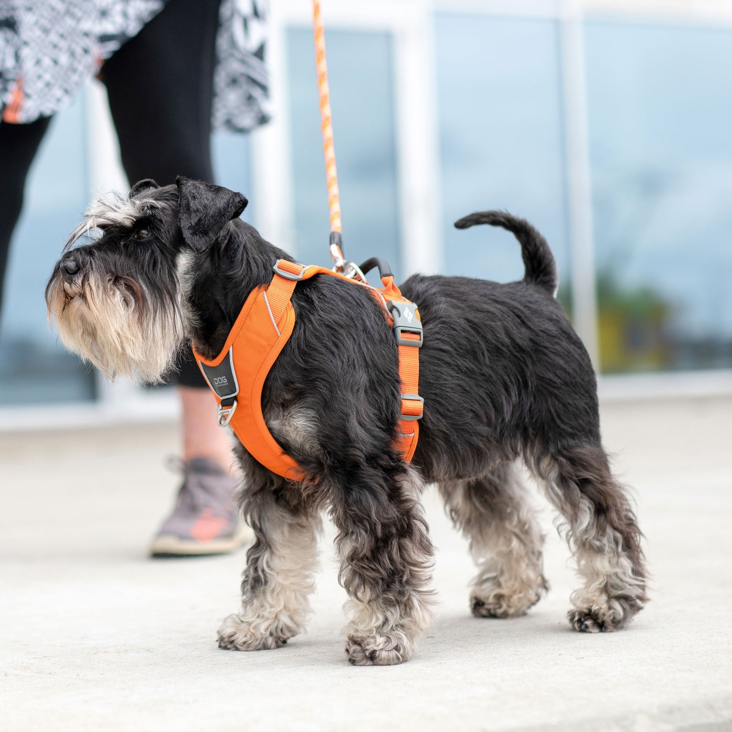 DOG Copenhagen - Comfort Walk Pro Harness 3.0 *NEW DESIGN*