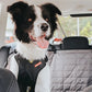 EzyDog - Drive Dog Car Harness