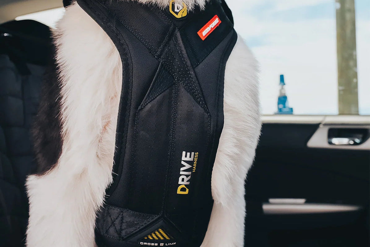 EzyDog - Drive Dog Car Harness