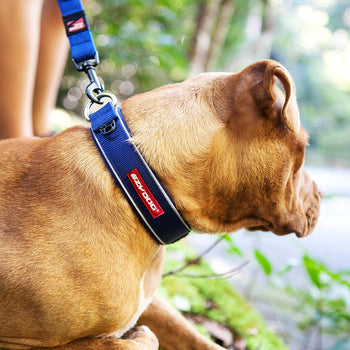 Collars