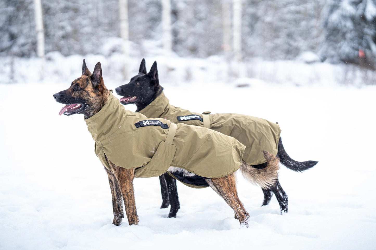 Non-stop - Working Dog Glacier Jacket