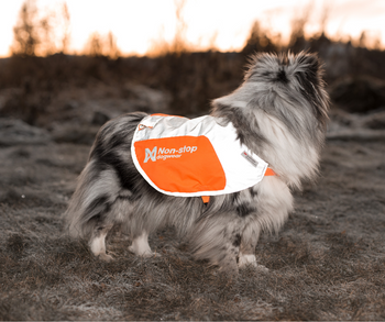 High Visibility