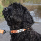 MDOG - Lakeland Waterproof Collar *CRAZY PRICE CRASH TO CLEAR*