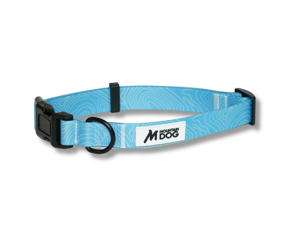 MDOG - Lakeland Waterproof Collar *CRAZY PRICE CRASH TO CLEAR*