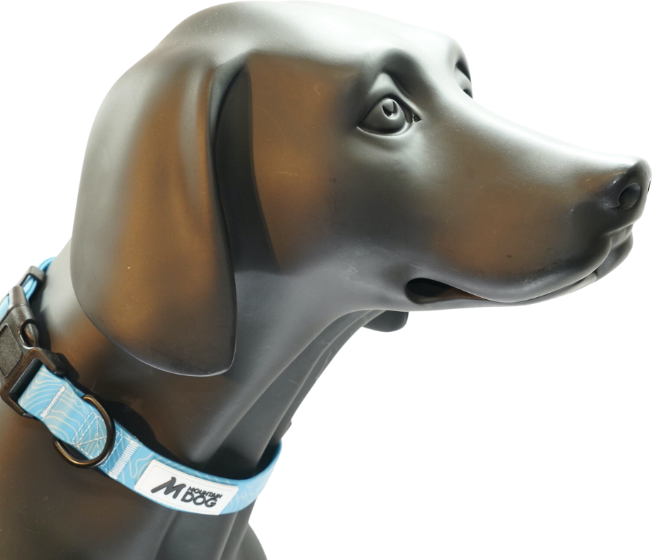 MDOG - Lakeland Waterproof Collar *CRAZY PRICE CRASH TO CLEAR*