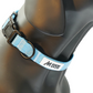 MDOG - Lakeland Waterproof Collar - Winter Sale