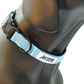 MDOG - Lakeland Waterproof Collar *CRAZY PRICE CRASH TO CLEAR*