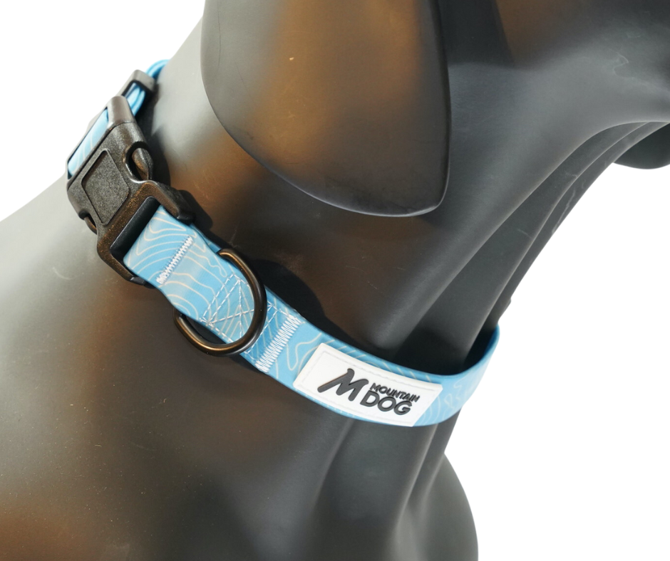 MDOG - Lakeland Waterproof Collar *CRAZY PRICE CRASH TO CLEAR*