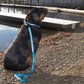 MDOG - Lakeland Waterproof Lead *AMAZING PRICE TO CLEAR*