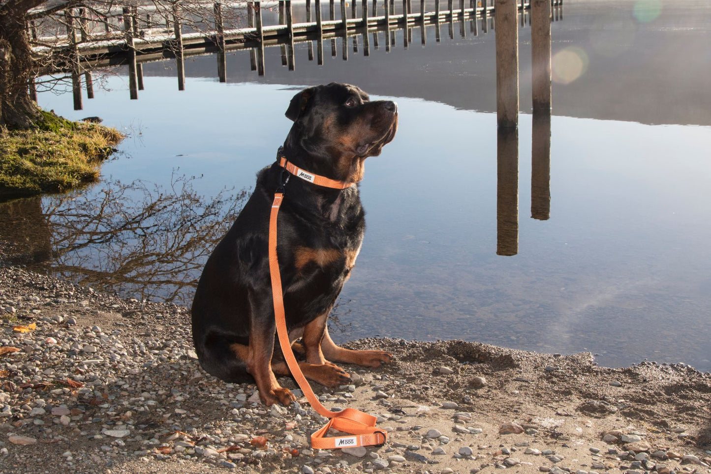 MDOG - Lakeland Waterproof Collar *CRAZY PRICE CRASH TO CLEAR*